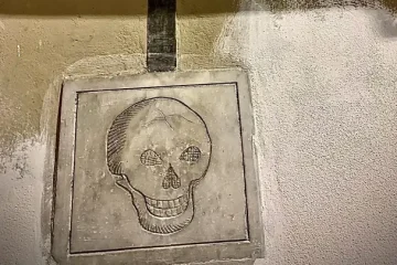 356769be-a626-4b9a-aa38-bea2b3259d11